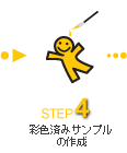 STEP4 彩色済みサンプルの作成