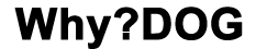 Why?DOG